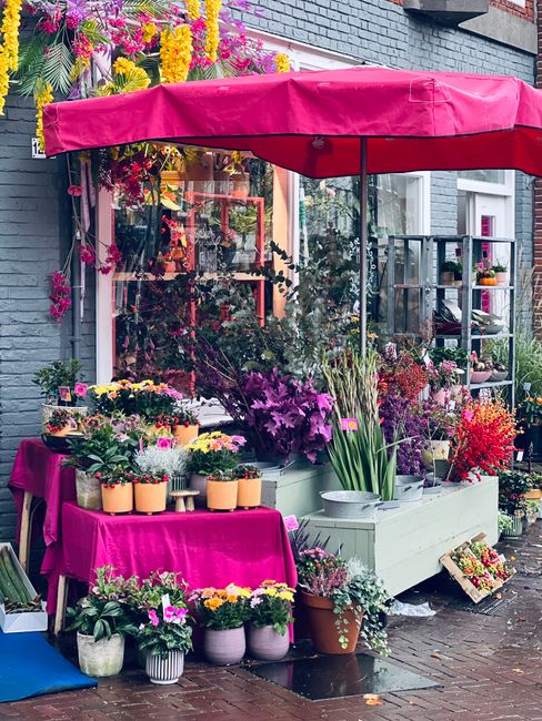 A vibrant flower stall outside a grey brick building, featuring a large pink canopy that provides shade. The display includes a variety of fresh, colourful flowers arranged in pots and vases, such as 